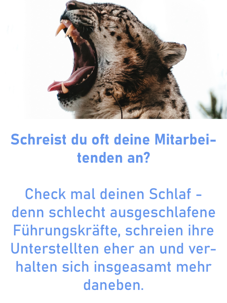 Wenn du Mitarbeiter anschreist