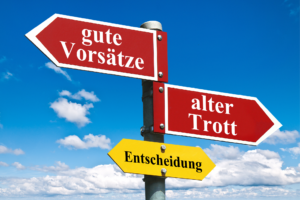 Read more about the article Gestärkt ins Neue Jahr: 5 Strategien, um deine Vorsätze durchzuziehen